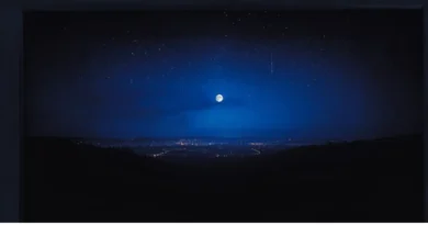 صمت الليل - خواطر ليلية